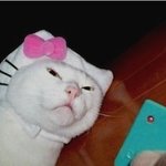 ★<b>심심</b>한데 리플놀이 안하실래요?