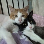 우리 <b>개망이</b> 입니다~!!!
