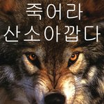 완전 어이없게 다친 ㅠㅠㅠㅠㅠㅠㅠㅠㅠ