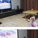 <b>tv</b>보는 우리 해피~*^^*