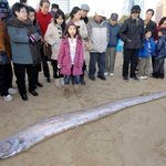 더러운세상