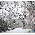 <b>추운</b> 길이 열리게 되요.