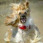 ★편의점 떡실신 알바생. <b>노숙</b>자랑 싸움.