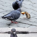 <b>저</b>는 <b>대학</b>을 가서도 빵셔틀을하는데요 ....도움좀..