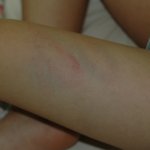 읽어주세요 네티즌님들 생각은 어떠신지요
