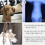 <b>개연</b>쇄살해범 강력처벌10만인서명