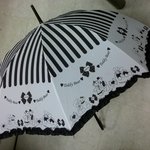 우산때문에 훈훈한 인연 만났습니다.(사진有)