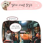 이런 말실수 해보신적 있으신가요?