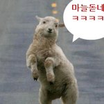 짜증나는 아랫집여자 이럴때는 어떡하나요. -_-^^