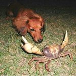 제목이 <b>개새</b>ㄲㅣ 야 너 고래 본적있냐? 인데