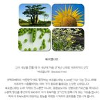 내 피부를 <b>촉촉</b>하게 해주는 스킨테라피 메이브리즈의 이야기