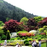 아침고요 수목원으로 떠난 소풍! 맛난 도시락도 함께~