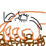 (그림有)아빠가 바퀴벌레를 튀겨버렸어요..