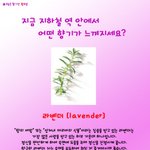 지하철에서 <b>향기</b>가 난다고?