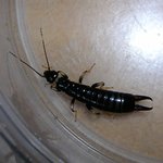 자다가이게왠날벼락(?)