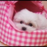기도좀해주세요^^