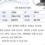 제 <b>동반자</b>를 찾습니다.