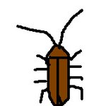 <b>바퀴</b>벌레와의 동거