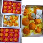 제주도 썩은 <b>한라</b>봉