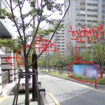 위반<b>행위</b>?