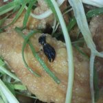m치킨에서 벌레와 알바생