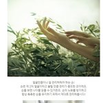 얼굴만큼 손관리도 해주세요! 집에서하는 핸드<b>테라피</b>!