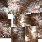★사진有★돈내고<b>염색</b>하고협박당했어요ㅠㅠ