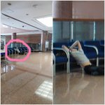 (사진有)도서관 로비에서 만난 그남쟈