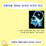 자동차 관리에 있어서 남자와 여자의 뇌<b>구조</b> 비교