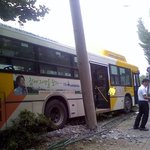 [사진有] 길가다 진짜 <b>뒤질</b>뻔