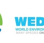 [6월 5일, 세계 환경의 날] 생활 속의 간단한 <b>녹색</b> 실천