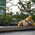 강남 데이트 추천 <b>장소</b>!! 이 곳은 꼭 가거라!!