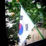 현충일 태극기는 실종되었다.......