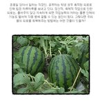 <b>피로</b>에 지친 몸을 생활습관으로 <b>피로</b>회복해보자!