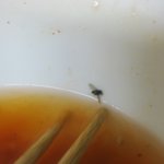 <b>종가</b>집 김치 파리 사건