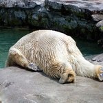 아름답고 귀여운 숨막히는 뒷<b>태</b>
