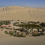 진짜 <b>사막</b>의 오아시스