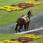 <b>승마</b>하는 김태희, 귀티가 넘쳐 흘러