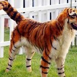 동물까지 가짜인 대륙의 <b>동물원</b>