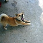 개시리즈에 하나 추가하고싶은사진