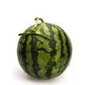 이게 <b>수박</b>이야 가슴이야 ??
