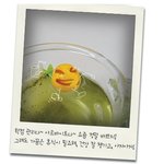 오징어<b>땅콩</b>은 표정이 대박이다... 찾아본사람?ㅋ