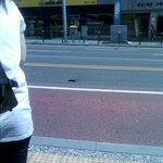 <b>신촌</b>버스정류장에정체모를구멍