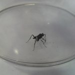 이건 <b>외계</b>생명체 인가요??
