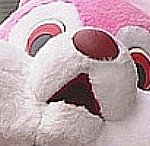 이게 안<b>귀엽</b>낭???