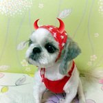 우리 둥이도~ 대~한 민국!!!