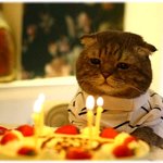 ♥얼굴평가♥빨리!뚝딱뚝딱집지어여!♥<b>냉정</b>or두루뭉실♥