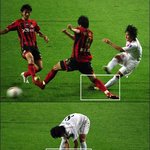원조 '<b>잔디</b>남'은 대한민국에!