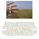 예쁜 손, 예쁜 발 이렇게 <b>관리</b>한다!!