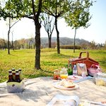 싸기 어렵다고 누가그래!! 피크닉? 나들이? 이 비법이라면 <b>ok</b>